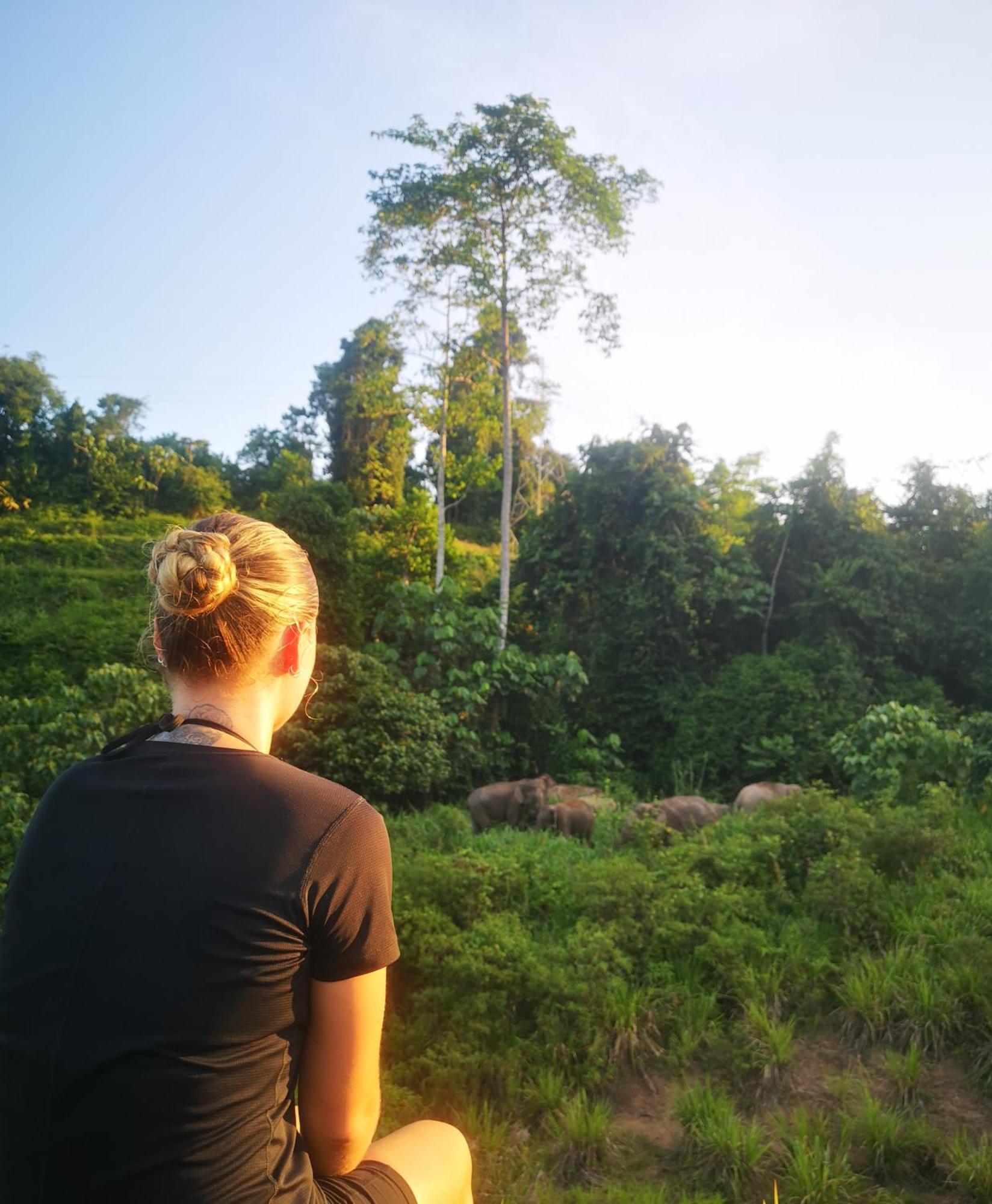 Wild Lodge Taman Negara Kuala Tahan Exterior foto